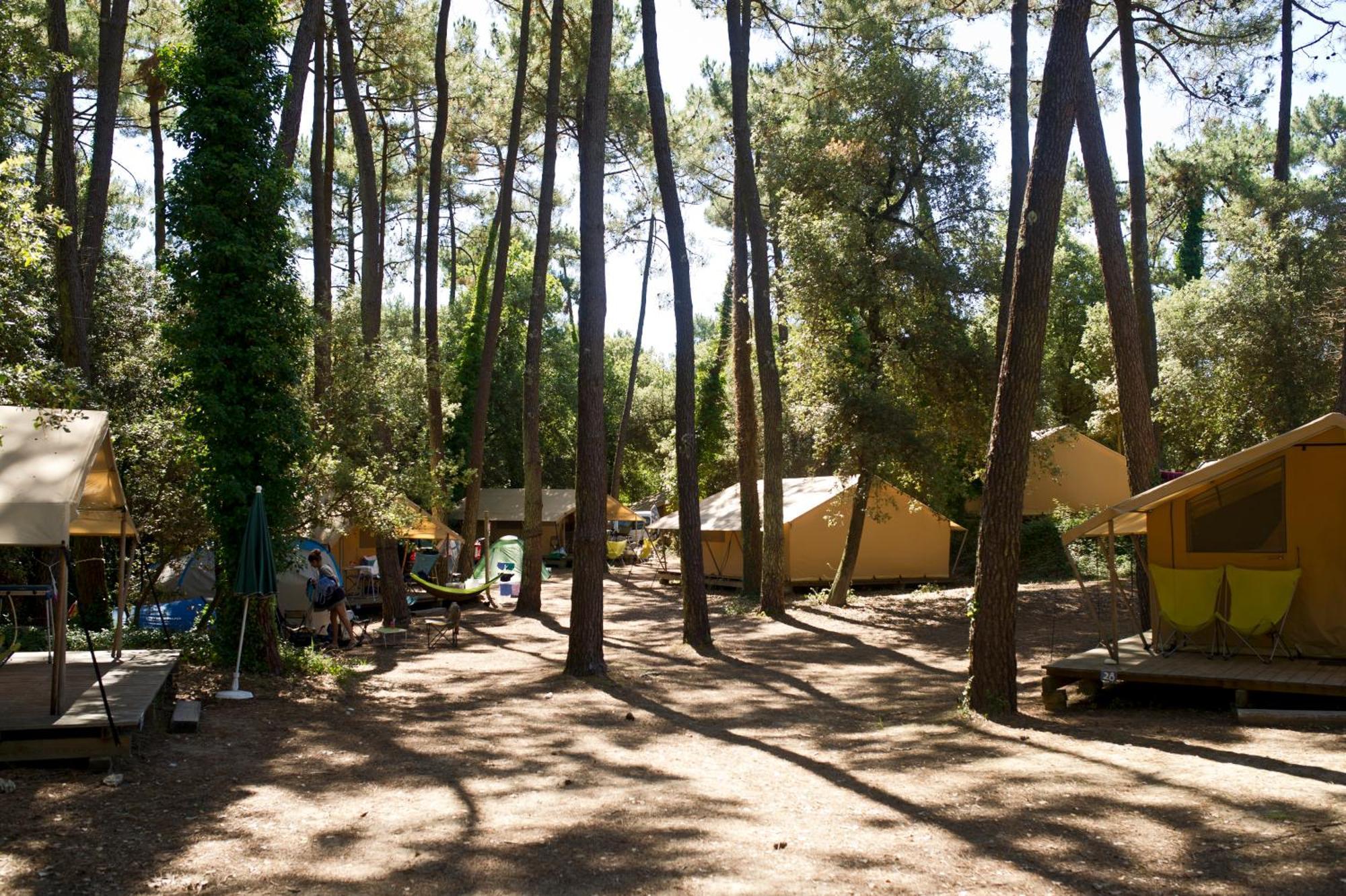Huttopia Oleron Les Chenes Verts Dolus-d'Oleron Room photo