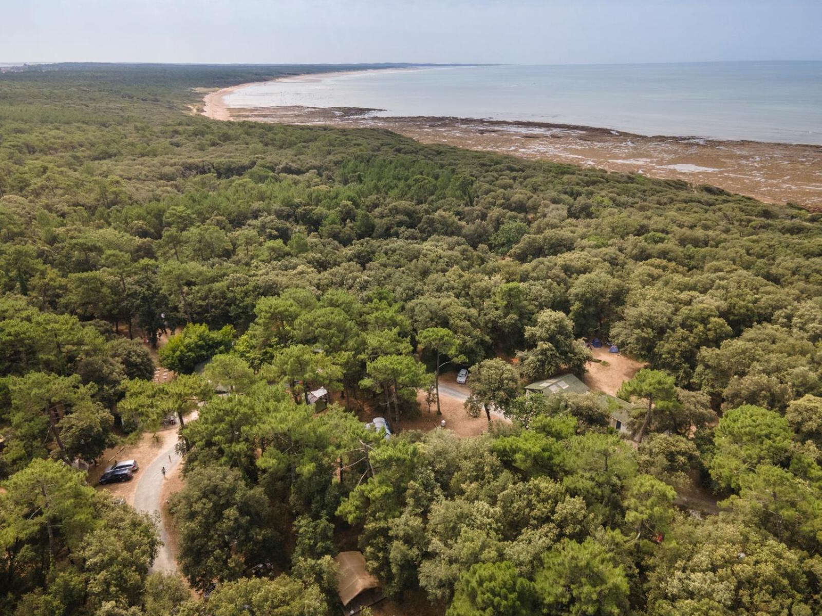 Huttopia Oleron Les Chenes Verts Dolus-d'Oleron Exterior photo