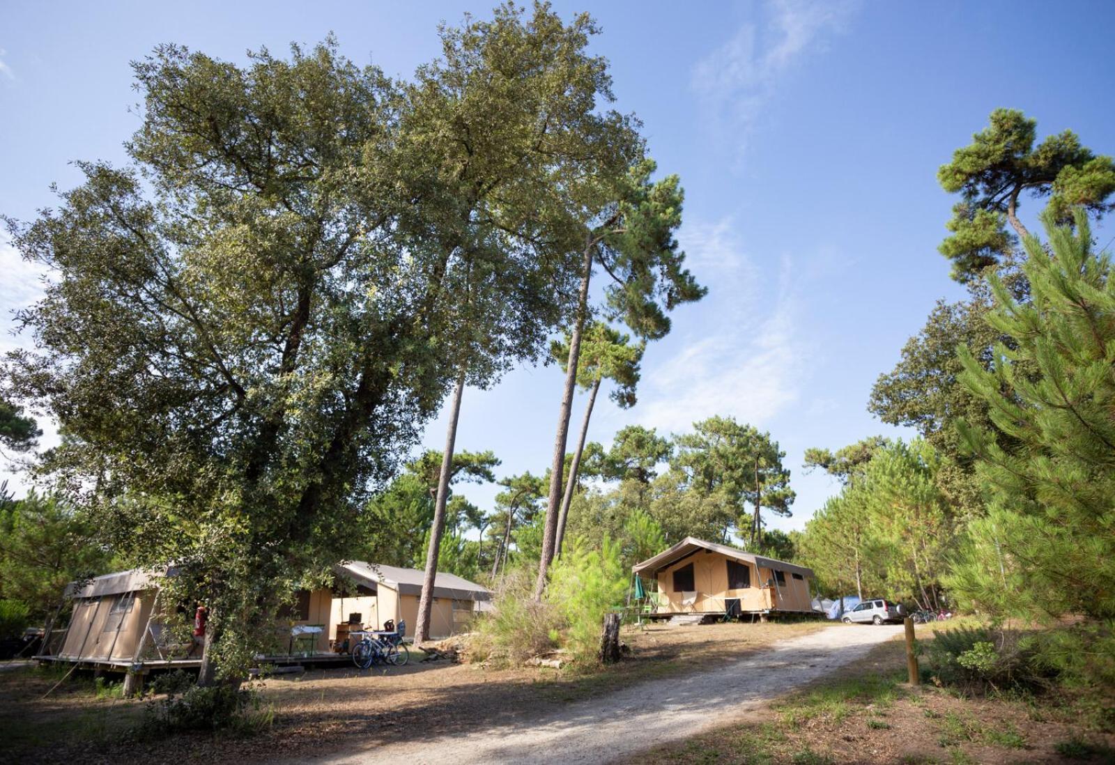 Huttopia Oleron Les Chenes Verts Dolus-d'Oleron Exterior photo